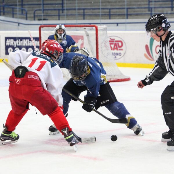 SHL OCH LIGONS KLUBBAR HAR BEGÄRDET ATT SVENSKA ISHOCKEYFÖRENINGEN STÄLLER IN RESTATEN AV SÄSONGEN.