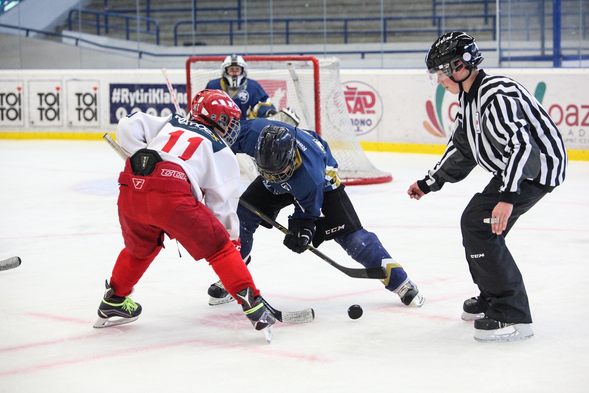SHL OCH LIGONS KLUBBAR HAR BEGÄRDET ATT SVENSKA ISHOCKEYFÖRENINGEN STÄLLER IN RESTATEN AV SÄSONGEN.