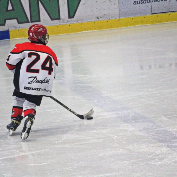 För två Sheffield-ishockeyhoppare har deras svenska dröm gått i uppfyllelse.