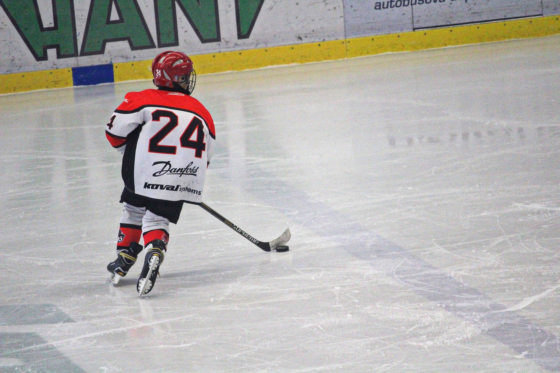 För två Sheffield-ishockeyhoppare har deras svenska dröm gått i uppfyllelse.